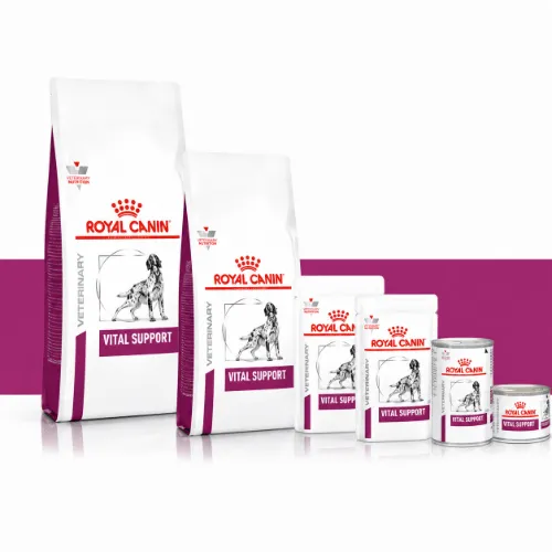 Royal Canin Cardiac Dry Dog Food